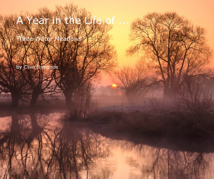 View A Year in the Life of ... by Clive Ormonde