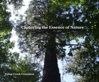 Capturing the Essence of Nature book cover