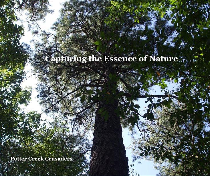 View Capturing the Essence of Nature by Potter Creek Crusaders