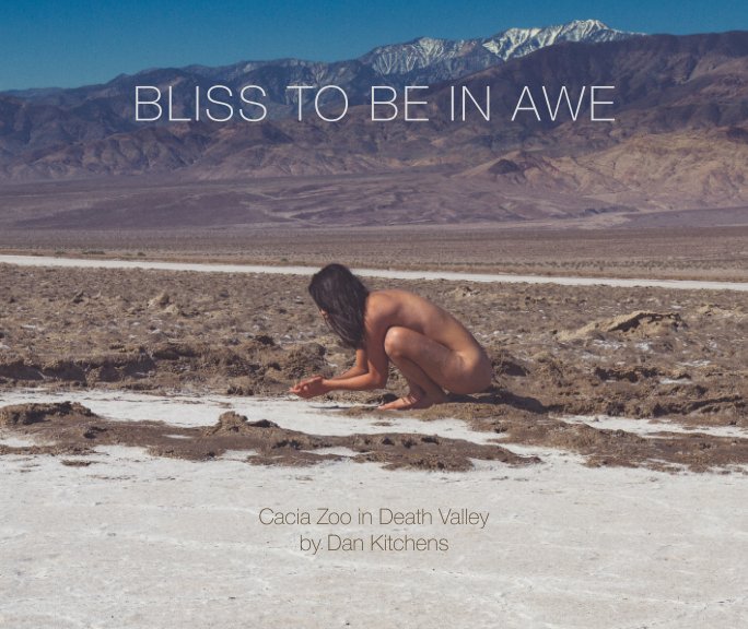 Bekijk Bliss To Be In Awe (softcover) op Dan Kitchens