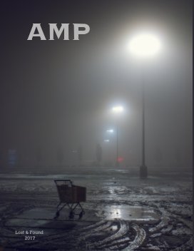 AMP - Lost & Found book cover