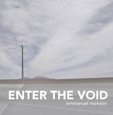 ENTER THE VOID book cover