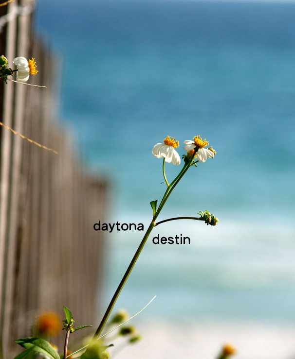 View daytona destin by kellygatus