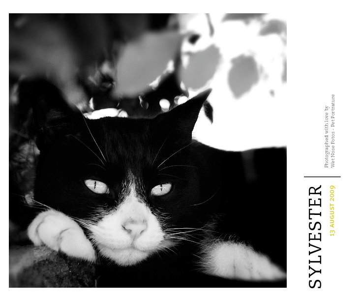 Bekijk Sylvester II op Wet Nose Fotos
