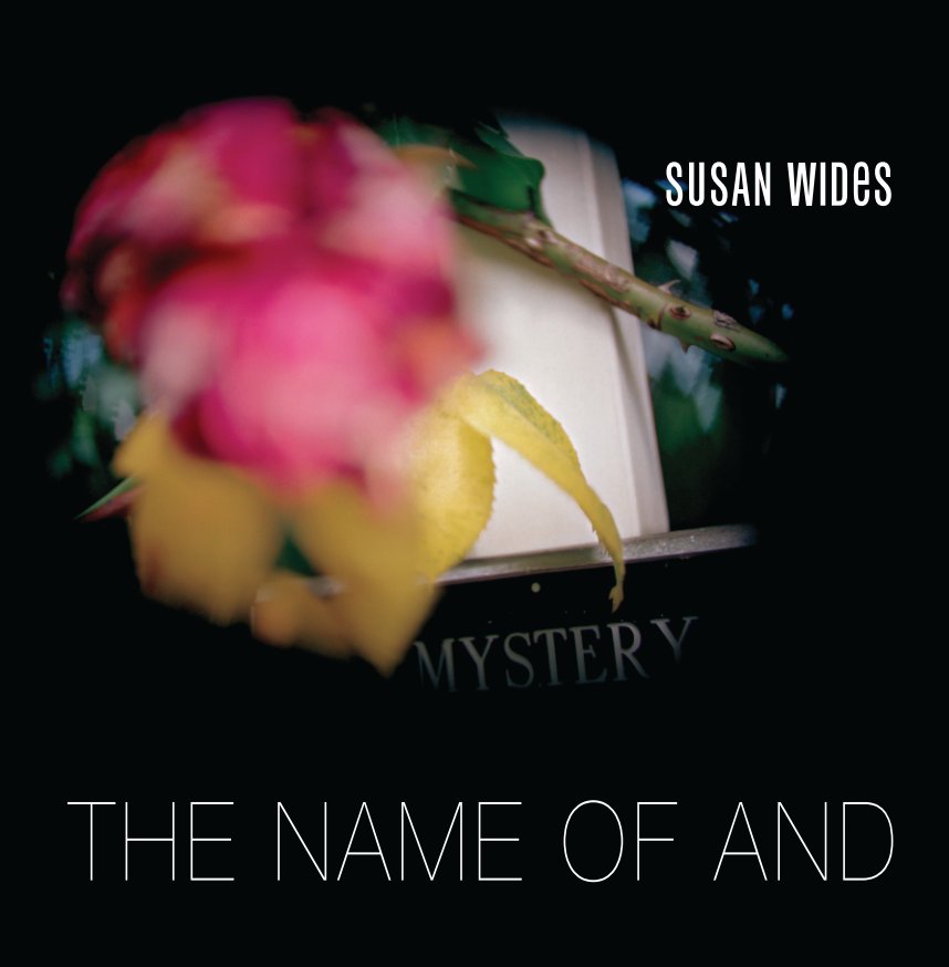 View The Name of And by Susan Wides