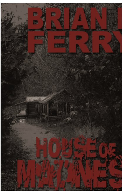 View House Of Madness by Brian Keith Ferry