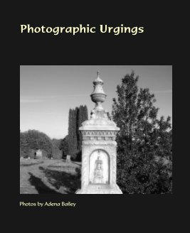 Photographic Urgings book cover