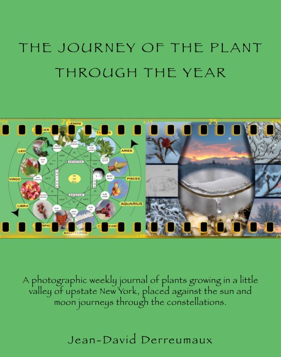 View The Journey of the Plant by Jean-David Derreumaux