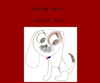 Zero the Hero book cover