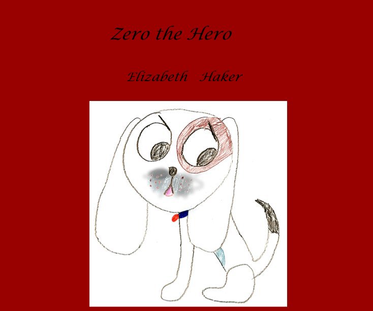 View Zero the Hero by Elizabeth Haker