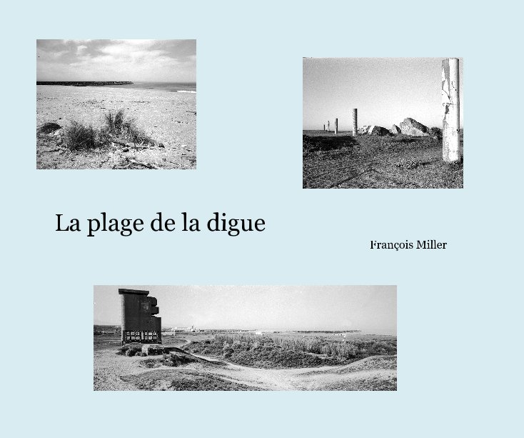 View La plage de la digue by François Miller
