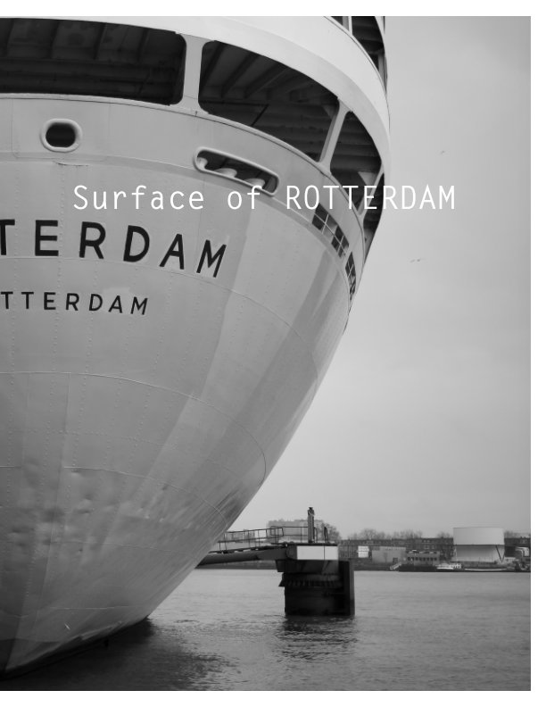 View Surface of ROTTERDAM by Lars Benthaus