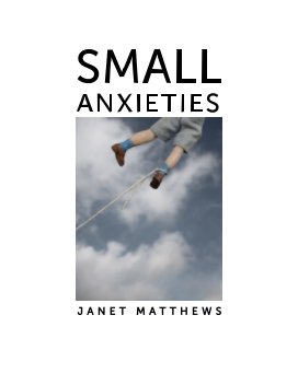 Small Anxieties book cover
