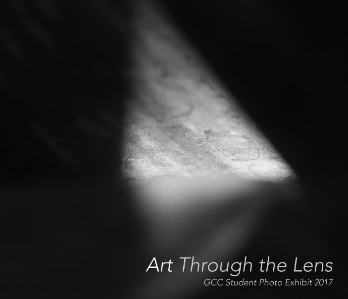 View Art Through the Lens by Amy Oliver