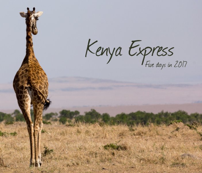Visualizza Kenya Express di Beth Wilson