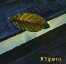 B'SQUARES book cover