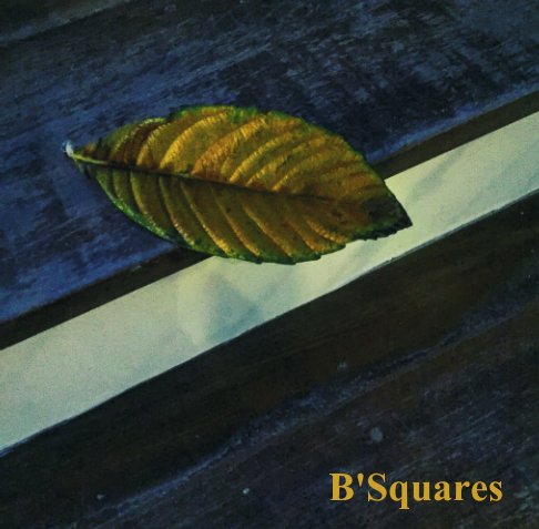 Visualizza B'SQUARES di Bernadette Mergaerts