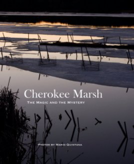 Cherokee Marsh book cover