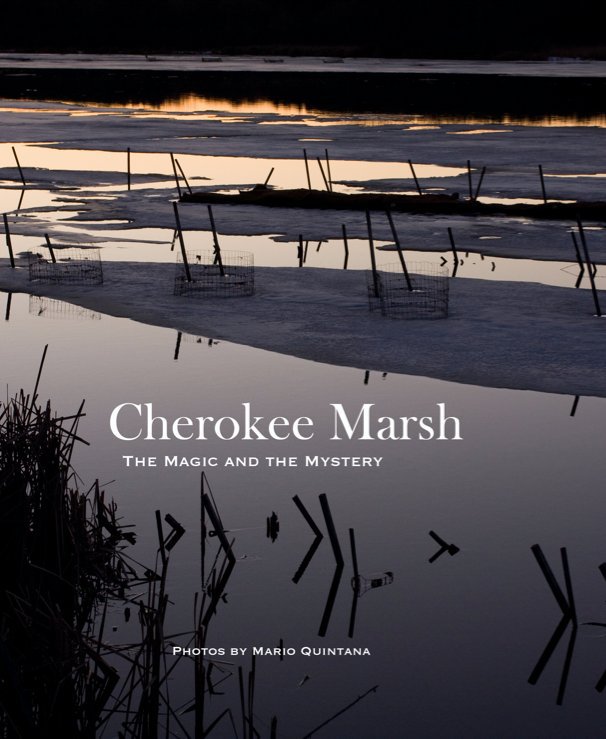 View Cherokee Marsh by Mario Quintana