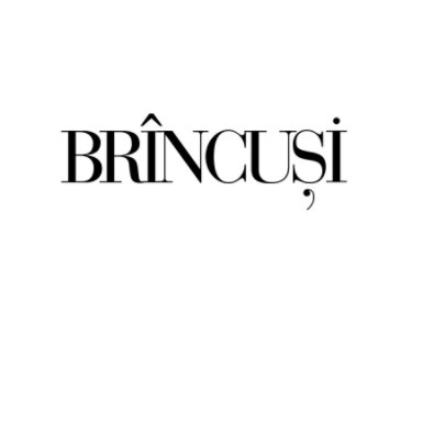BRINCUSI book cover