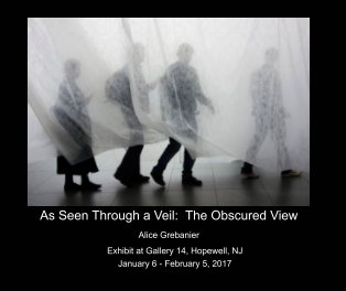 As Seen Through A Veil book cover