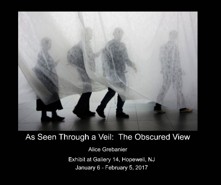 View As Seen Through A Veil by Alice Grebanier