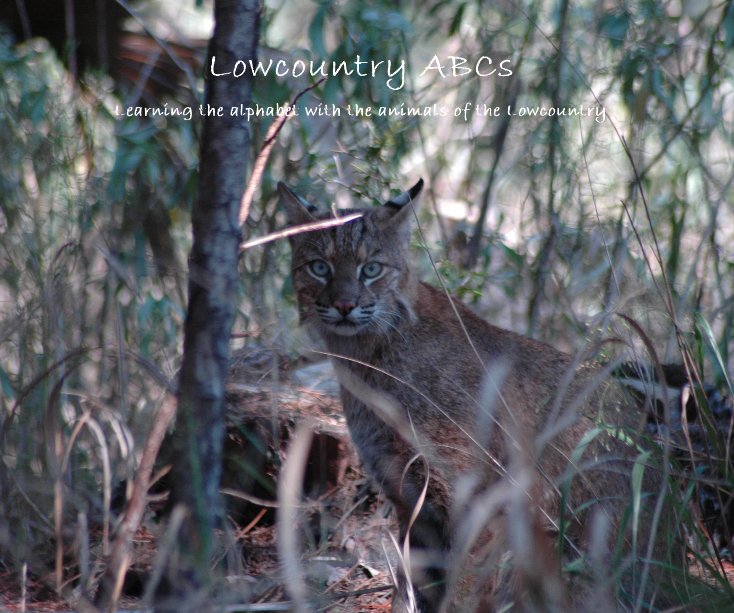 View Lowcountry ABCs by Kelly Bragg