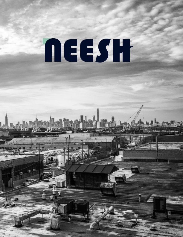View Welcome to Neesh: Spring 2017 by Fran Holstrom