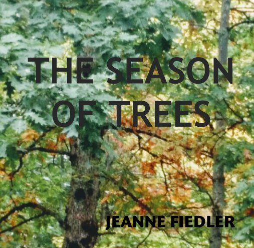 View The Season of Trees by JEANNE FIEDLER