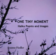ONE TINY MOMENT              Haiku Poems and Images book cover