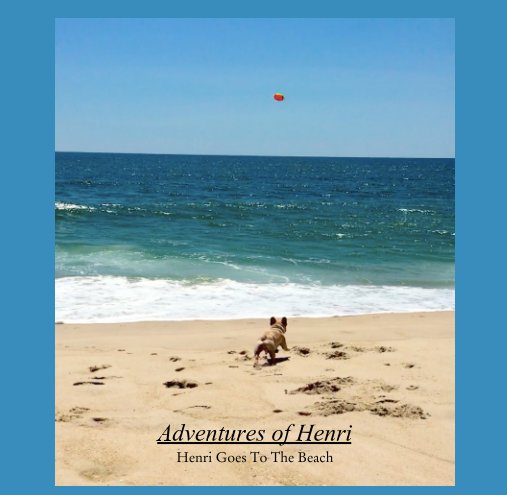 View Adventures of Henri: Henri Goes To The Beach by Thomas Gallagher