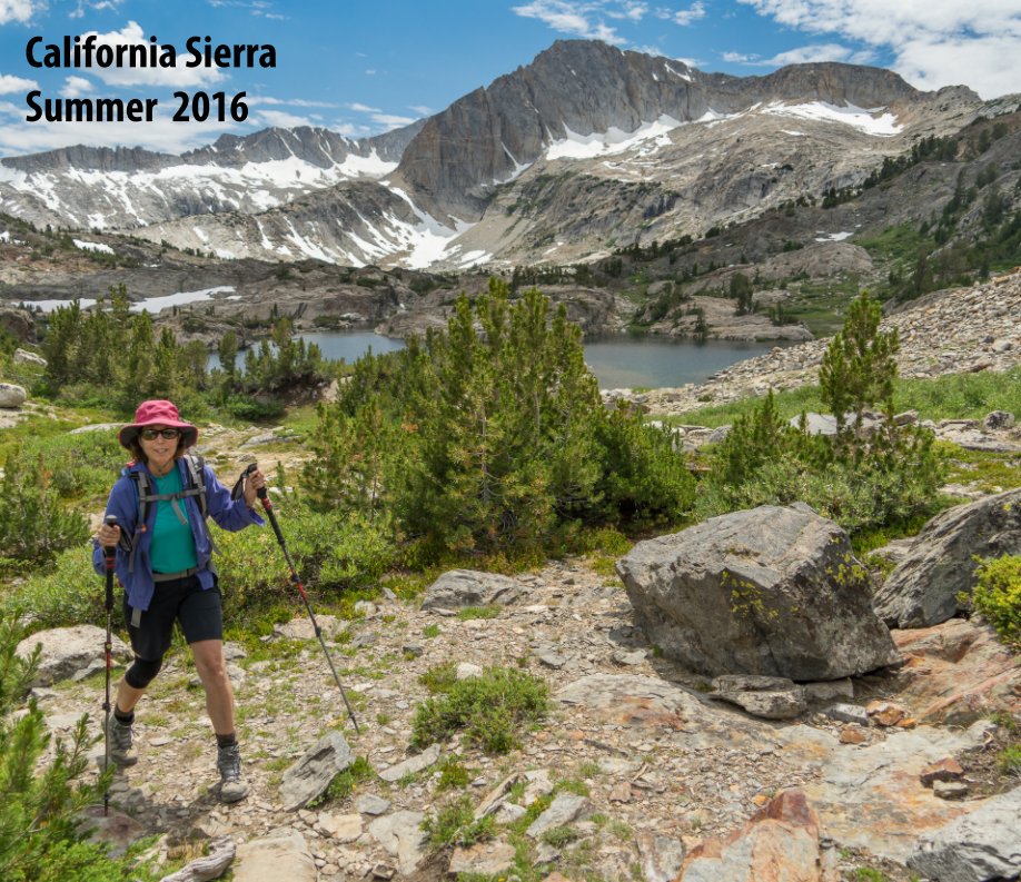 View California Sierra  Summer 2016 by Tom Hill