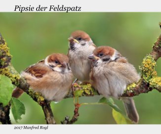 Pipsie der Feldspatz book cover