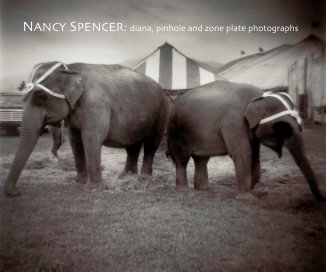 NANCY SPENCER:
diana, pinhole and zone plate photographs book cover