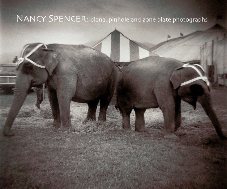Ver NANCY SPENCER:
diana, pinhole and zone plate photographs por nancyspencer
