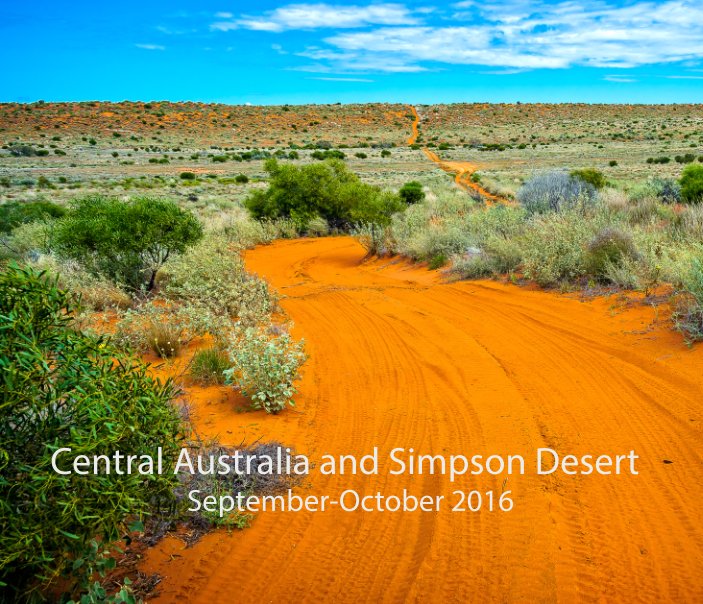 View Central Australia and  Simpson Desert by Peter Ryan