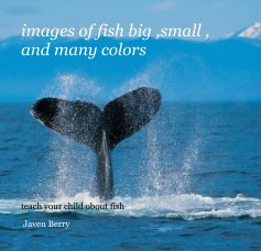images of fish big ,small ,and many colors book cover