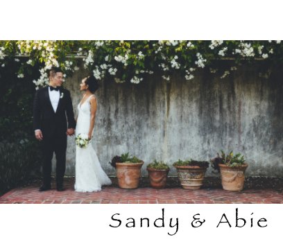 Sandy & Abie book cover