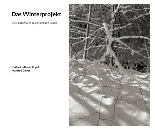 Das Winterprojekt book cover