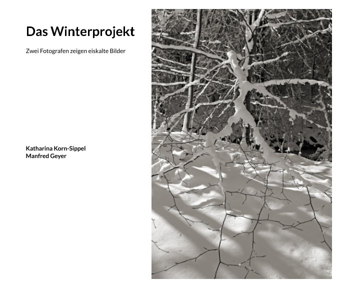 Ver Das Winterprojekt por Katharina Korn-Sippel, Manfred Geyer