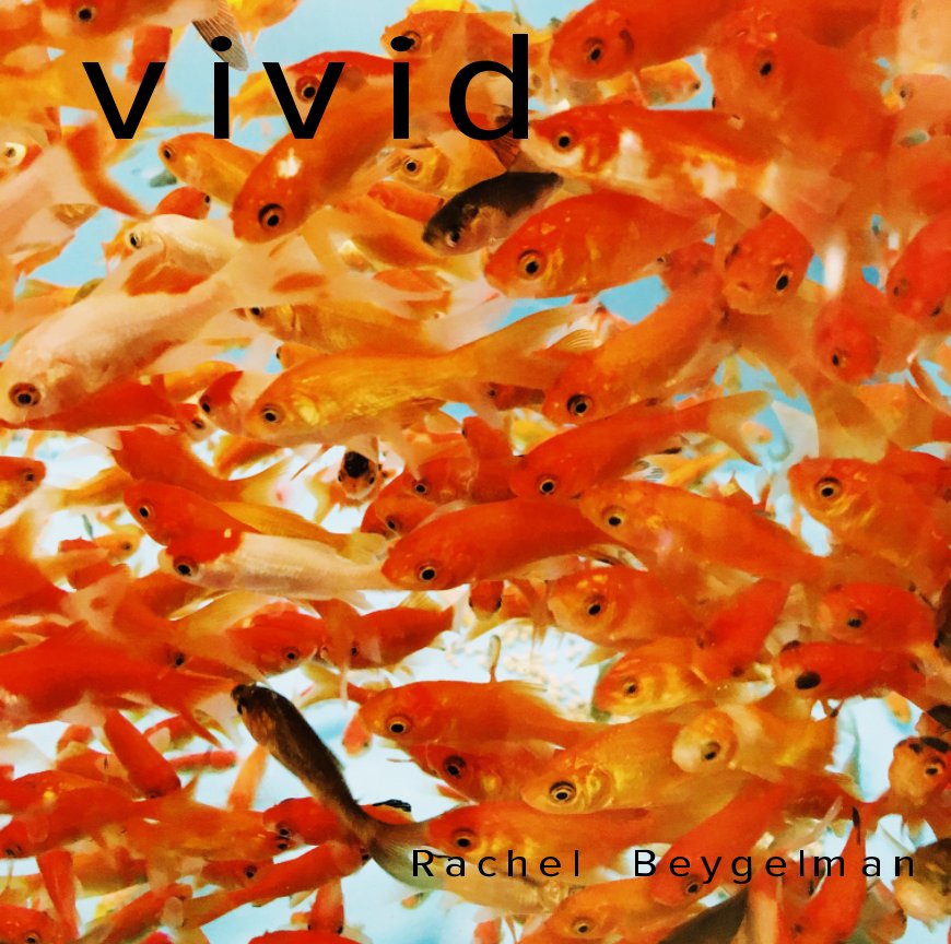 View Vivid by Rachel Beygelman