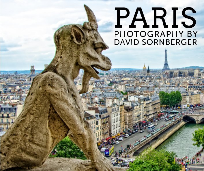 View Paris by David Sornberger
