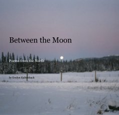 Between the Moon book cover