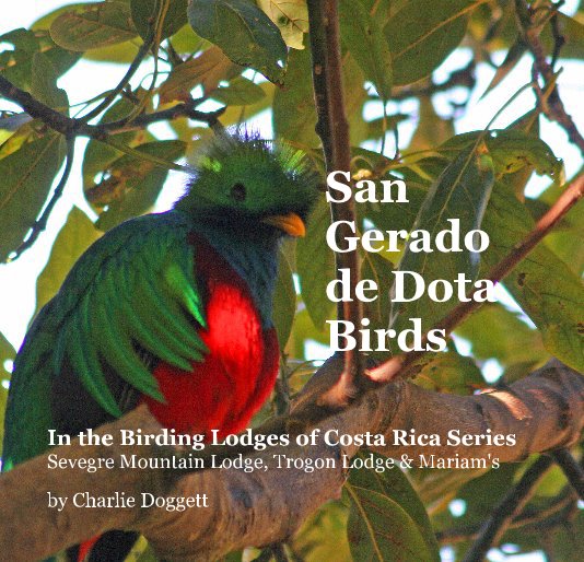 View San Gerado de Dota Birds by Charlie Doggett
