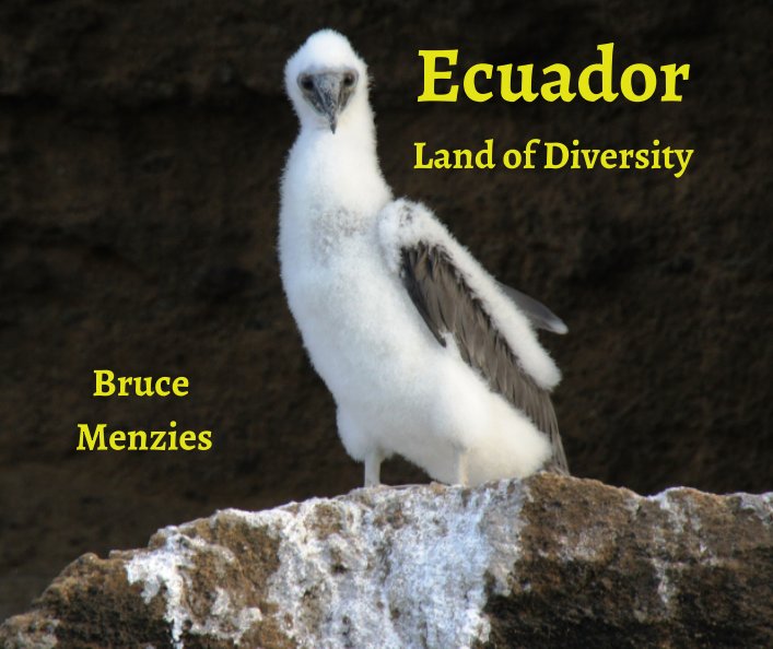 View Ecuador by Bruce Menzies