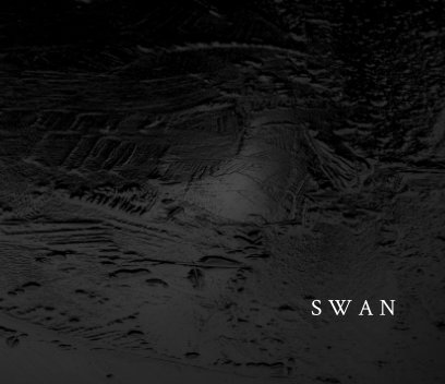 Swan book cover