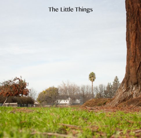 View The Little Things by Peyton Miller