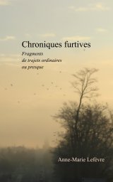 Chroniques furtives book cover