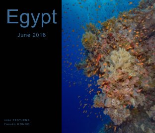 Egypt - Red Sea - June 2016 book cover