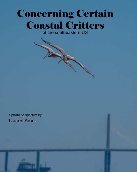 View Concerning Certain Coastal Critters by Lauren Ames